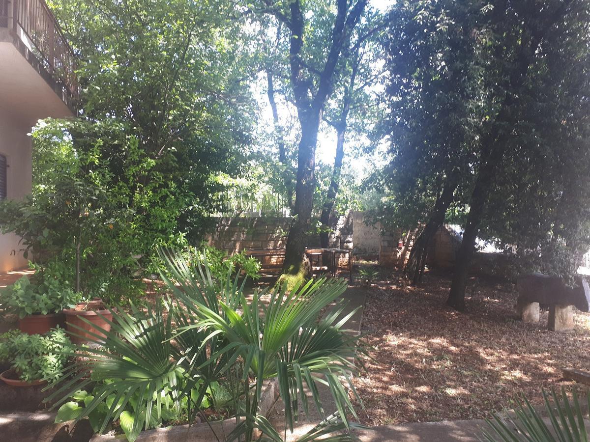 Apartments Dea Poreč Zewnętrze zdjęcie